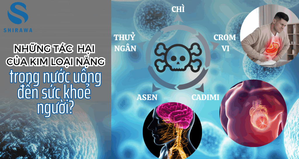 tác hại kim loại nặng, cẩn thận kim loại nặng trong nước